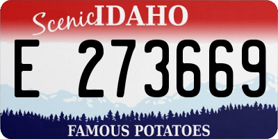 ID license plate E273669