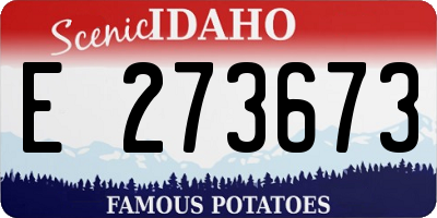 ID license plate E273673