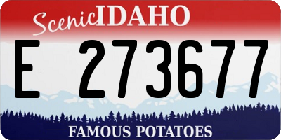 ID license plate E273677