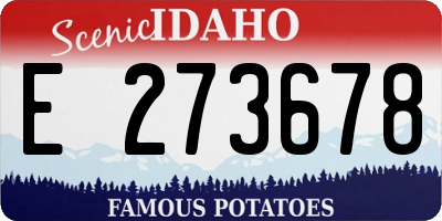 ID license plate E273678