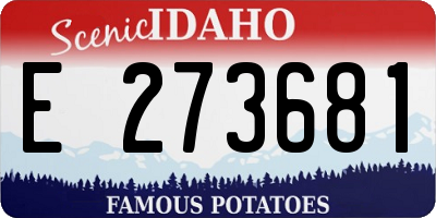 ID license plate E273681