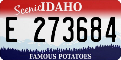 ID license plate E273684