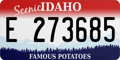 ID license plate E273685