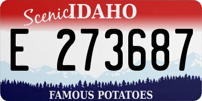 ID license plate E273687