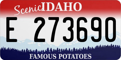 ID license plate E273690