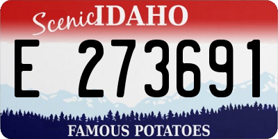 ID license plate E273691