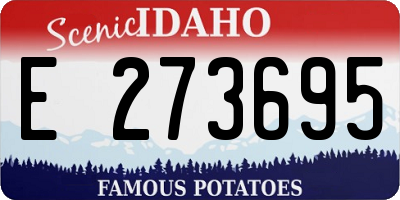 ID license plate E273695