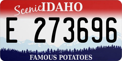 ID license plate E273696