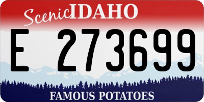 ID license plate E273699