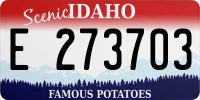 ID license plate E273703