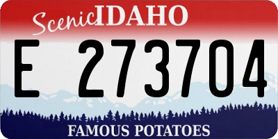ID license plate E273704