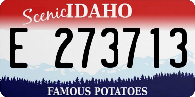 ID license plate E273713