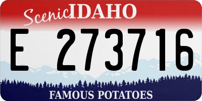 ID license plate E273716