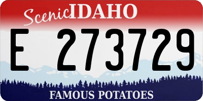 ID license plate E273729