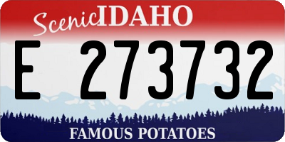ID license plate E273732