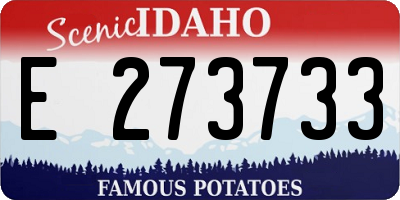 ID license plate E273733