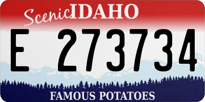 ID license plate E273734