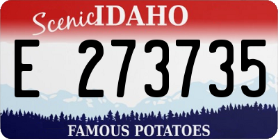 ID license plate E273735