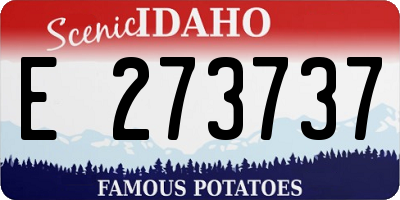 ID license plate E273737