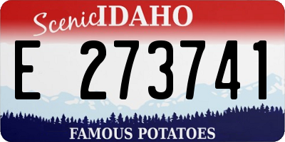 ID license plate E273741