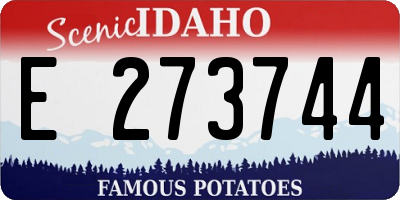 ID license plate E273744