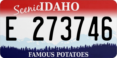 ID license plate E273746