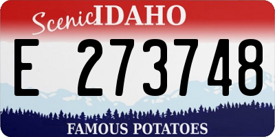 ID license plate E273748