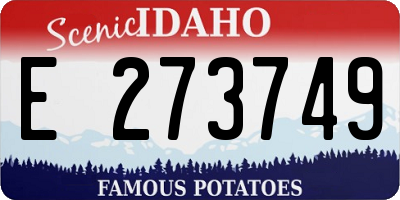 ID license plate E273749