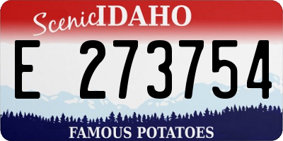ID license plate E273754