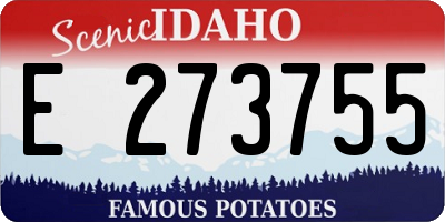 ID license plate E273755