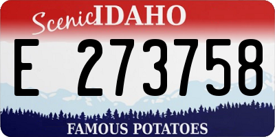 ID license plate E273758