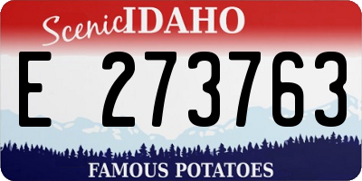 ID license plate E273763