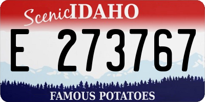 ID license plate E273767