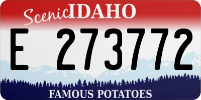ID license plate E273772
