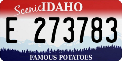 ID license plate E273783