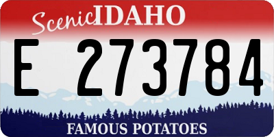 ID license plate E273784