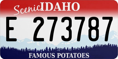 ID license plate E273787