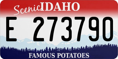 ID license plate E273790