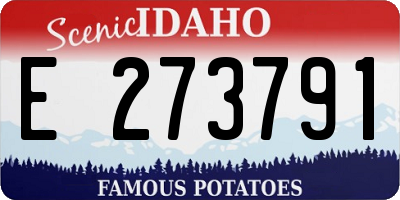 ID license plate E273791