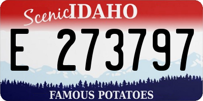 ID license plate E273797