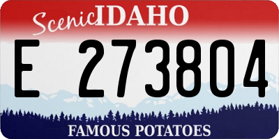 ID license plate E273804