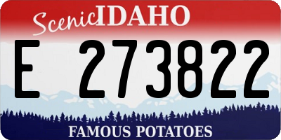 ID license plate E273822