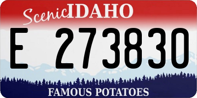 ID license plate E273830