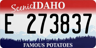 ID license plate E273837