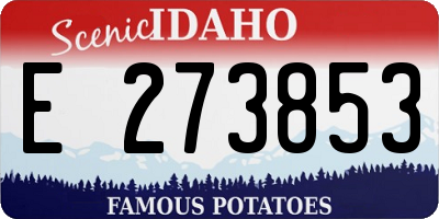 ID license plate E273853