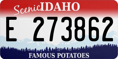 ID license plate E273862