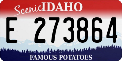 ID license plate E273864