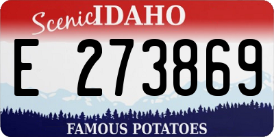 ID license plate E273869
