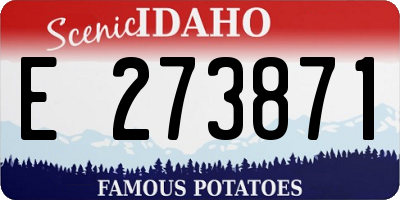 ID license plate E273871