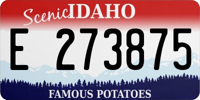 ID license plate E273875